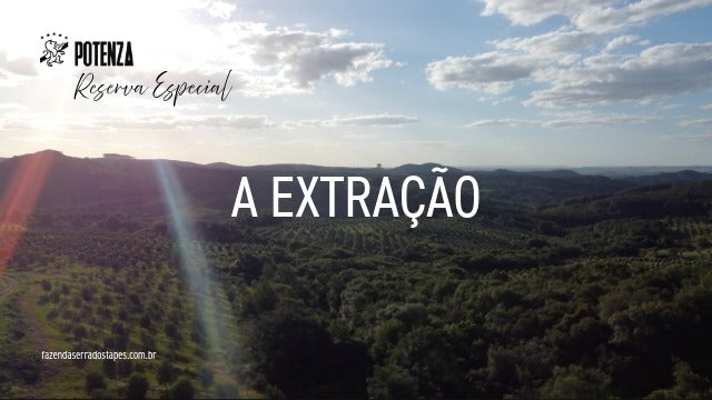 A Extração: o momento em que o frescor se transforma em excelência