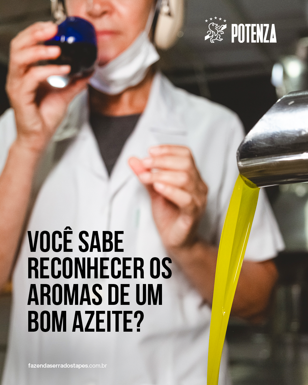Você sabe reconhecer os aromas de um bom azeite?