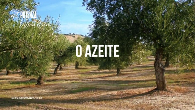 O Azeite: a expressão final da terra, do tempo e da maestria